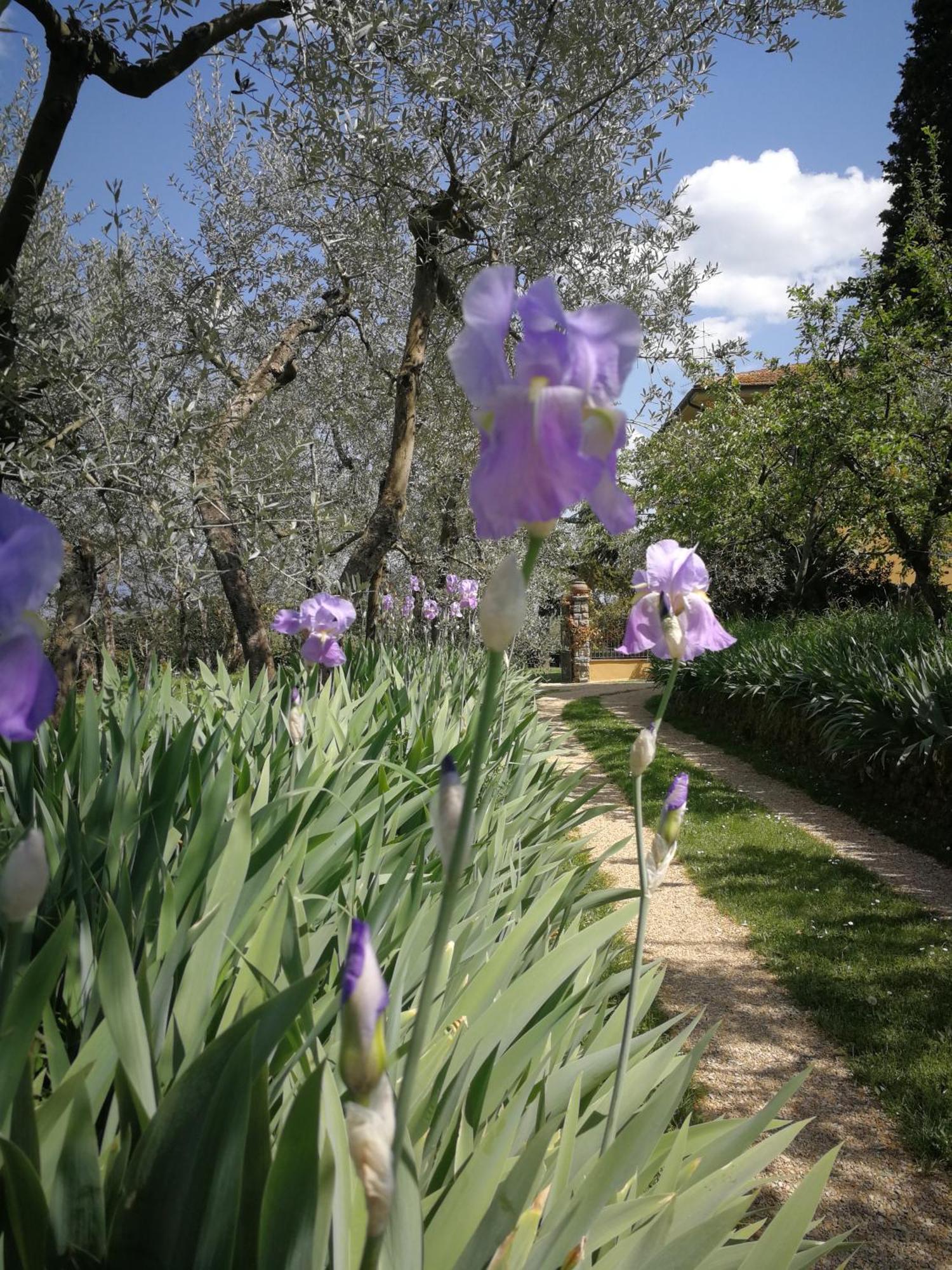 Podere San Giusto Figline Valdarno Zewnętrze zdjęcie