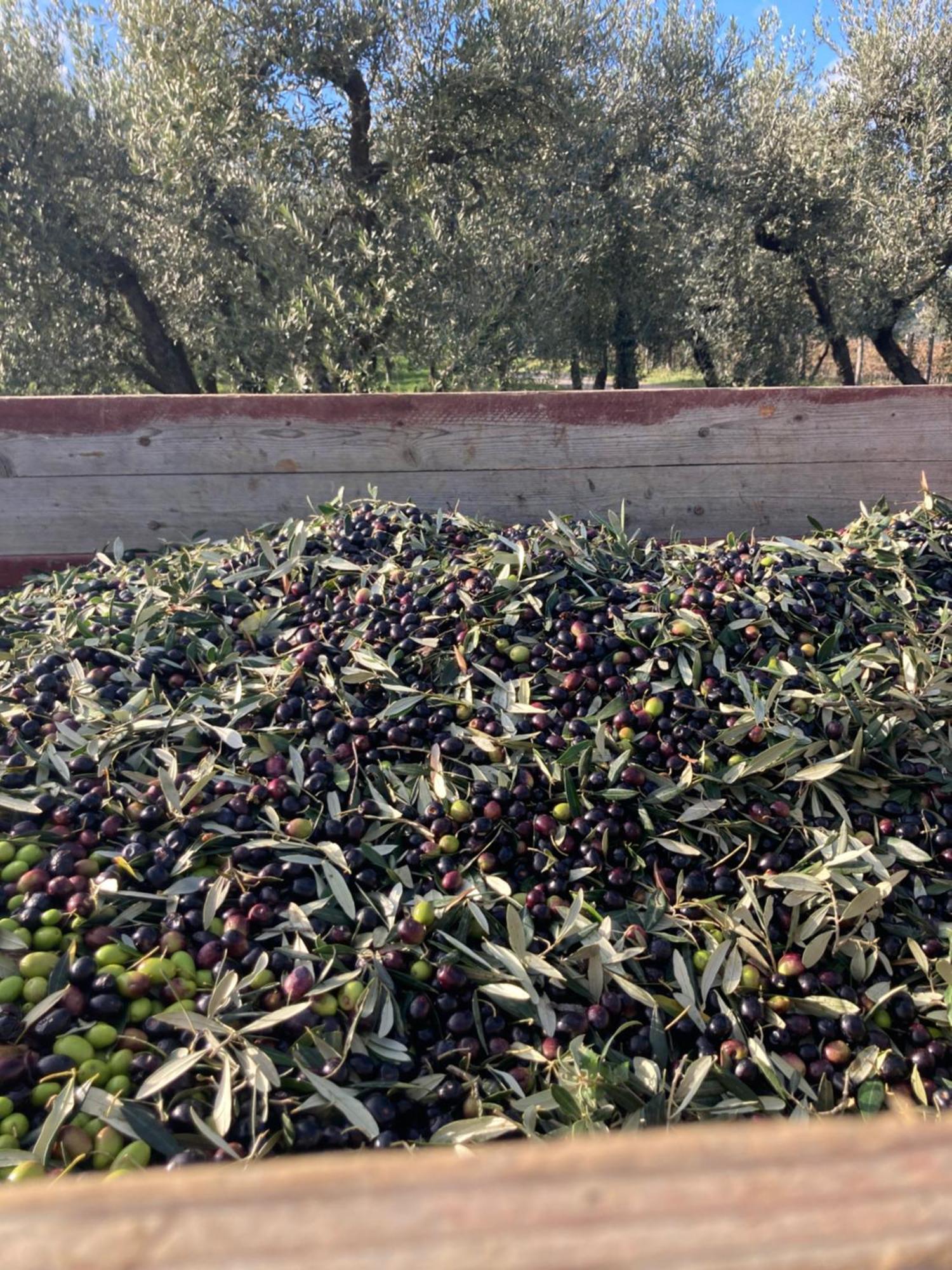 Podere San Giusto Figline Valdarno Zewnętrze zdjęcie